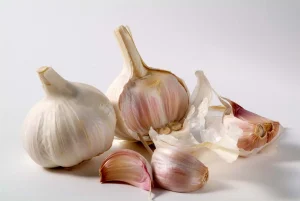 Bulbs cloves garlic